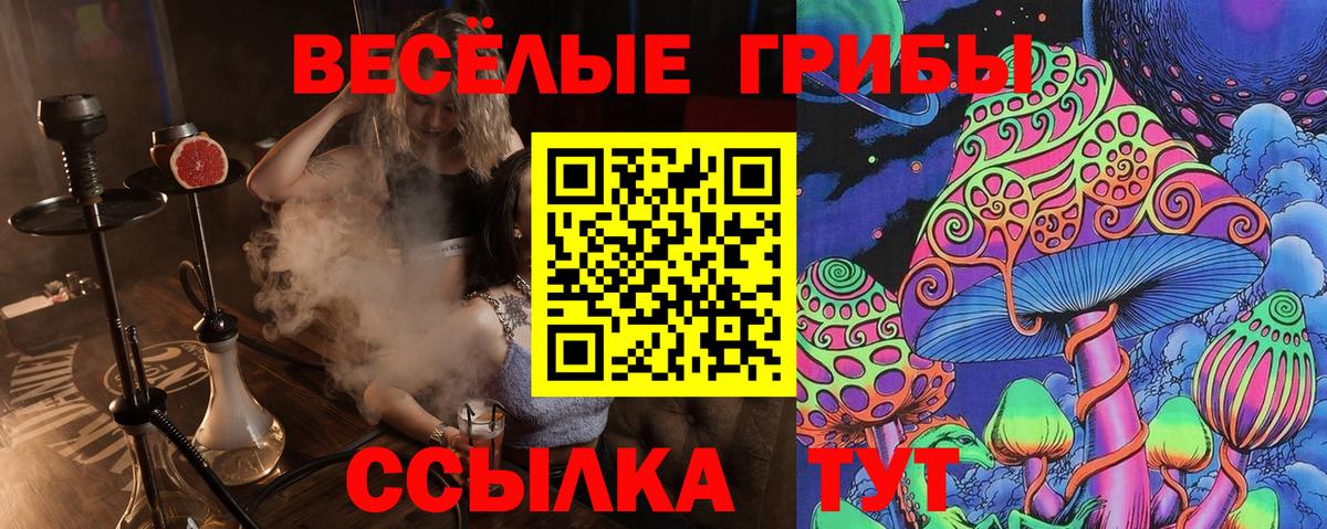 Заречный  Псилоцибиновые грибы мицелий  Вход с VPN 