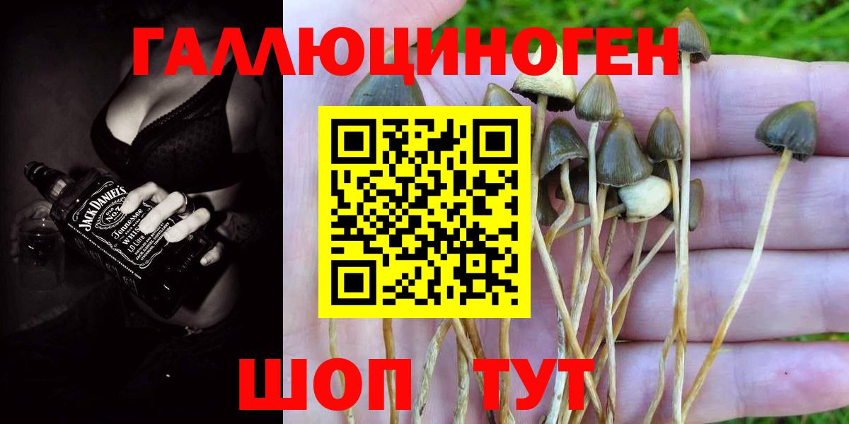 Псилоцибиновые грибы Cubensis Заречный
